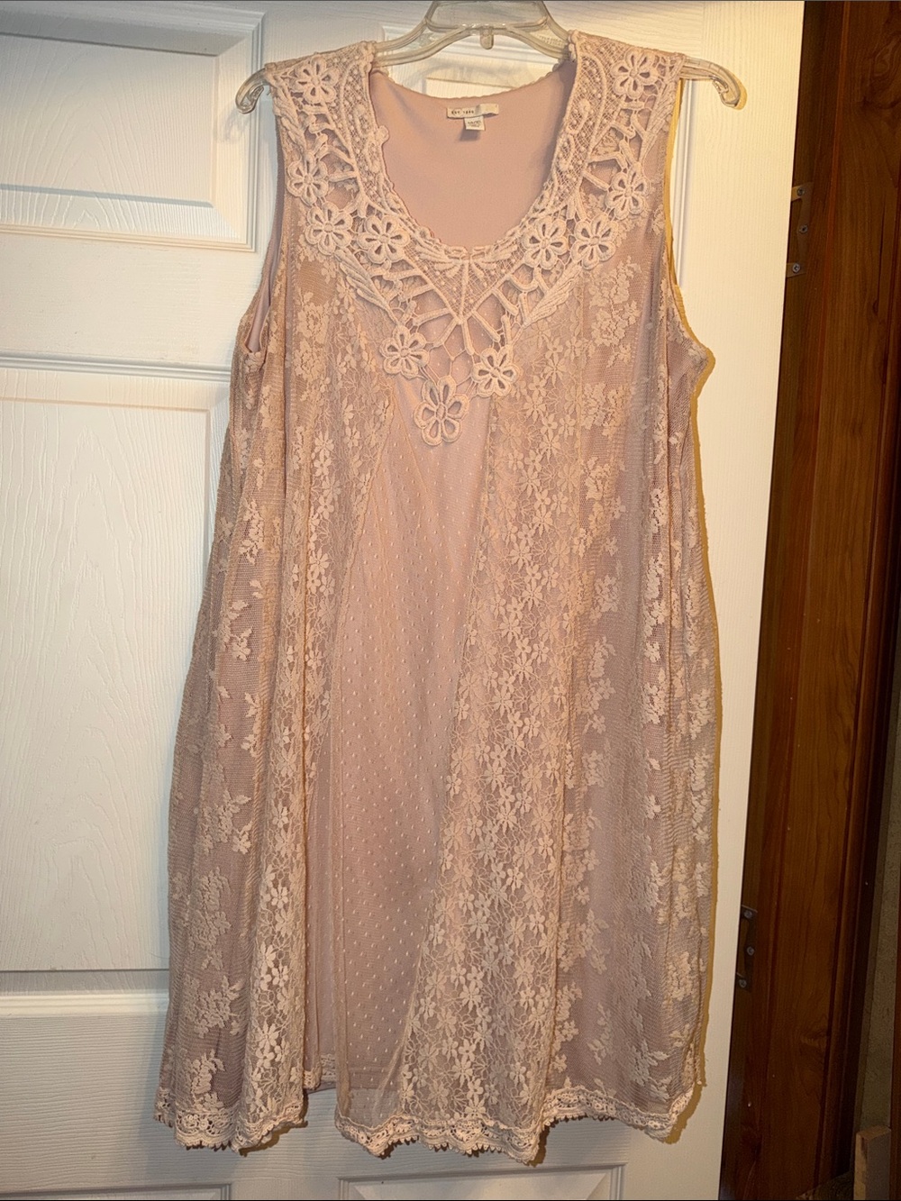 Cato Sleeveless Lace Midi Dress in Blush Pink
